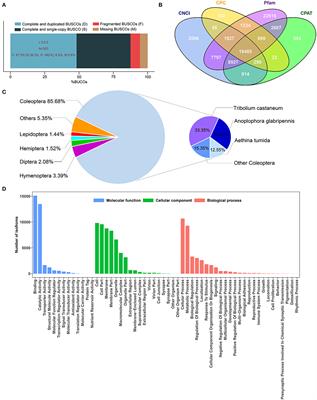 PacBio Long-Read Sequencing Transcriptome Dataset of Adult Harmonia axyridis Under Diapause Inducing and Reproductive Inducing Photoperiod